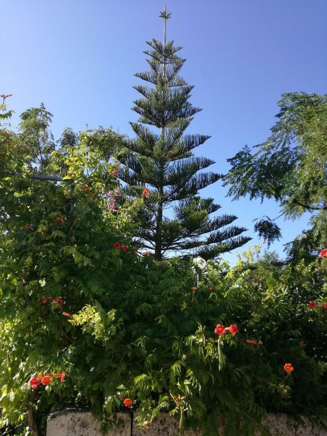 La Lanterna Delle Fate Bed & Breakfast Otranto Ngoại thất bức ảnh