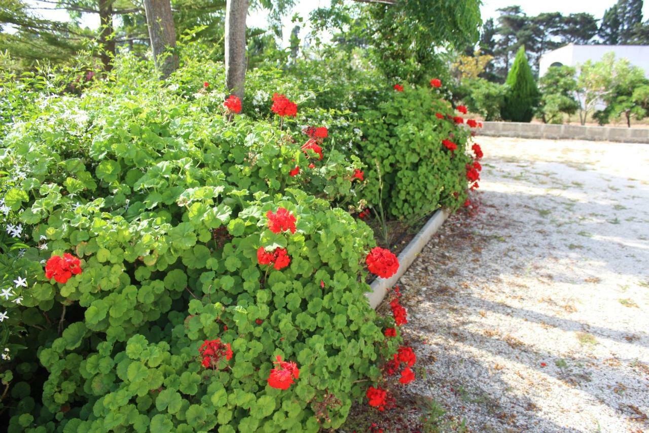 La Lanterna Delle Fate Bed & Breakfast Otranto Ngoại thất bức ảnh